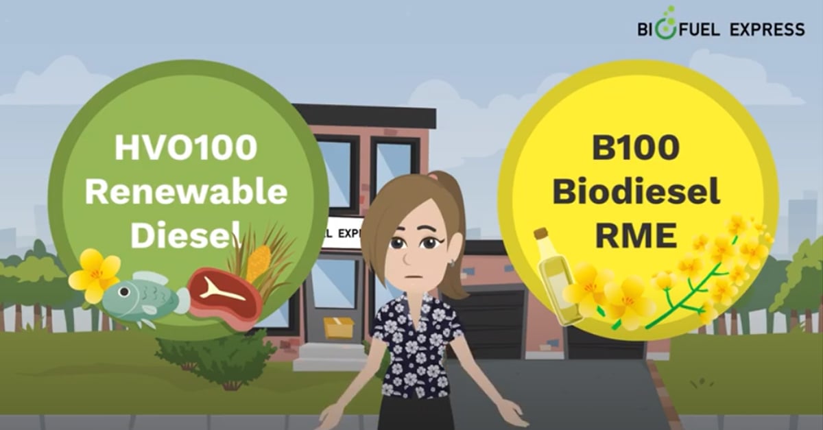 HVO vs. B100