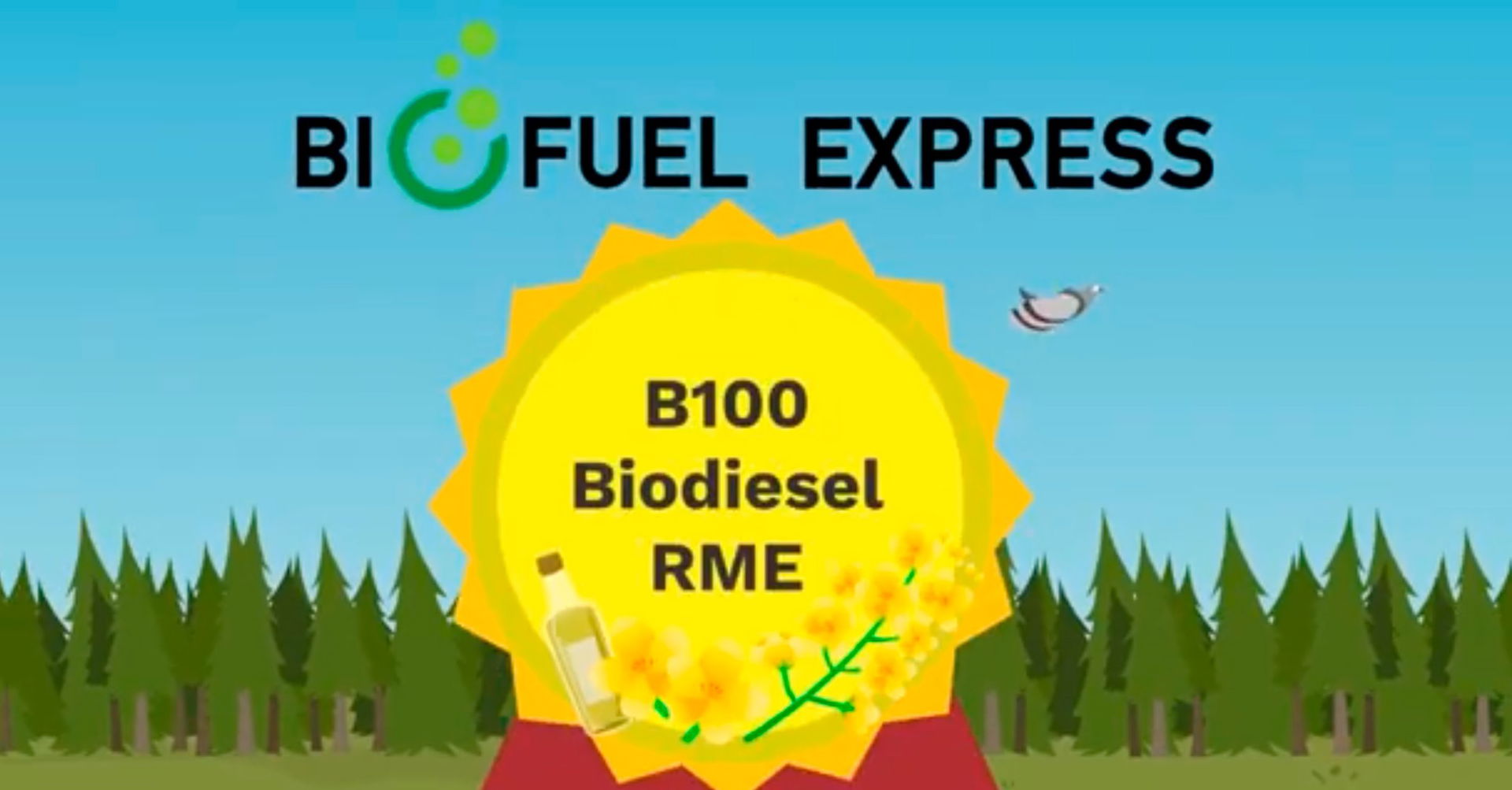 RME-video